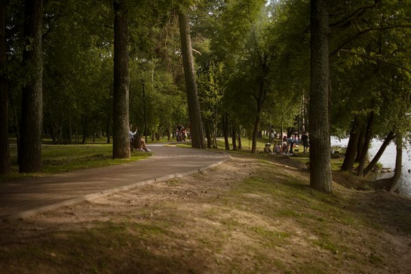 Ostéoporose chez les personnes âgées : Innovations médicales et Horizons prometteurs en recherche