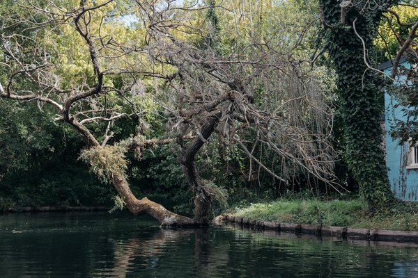 Stratégies Quotidiennes pour Maîtriser et Vivre avec une Maladie Osseuse Dégénérative