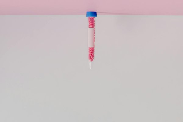 Les bienfaits du sans gluten et sans lactose pour les seniors : Guide pratique et conseils